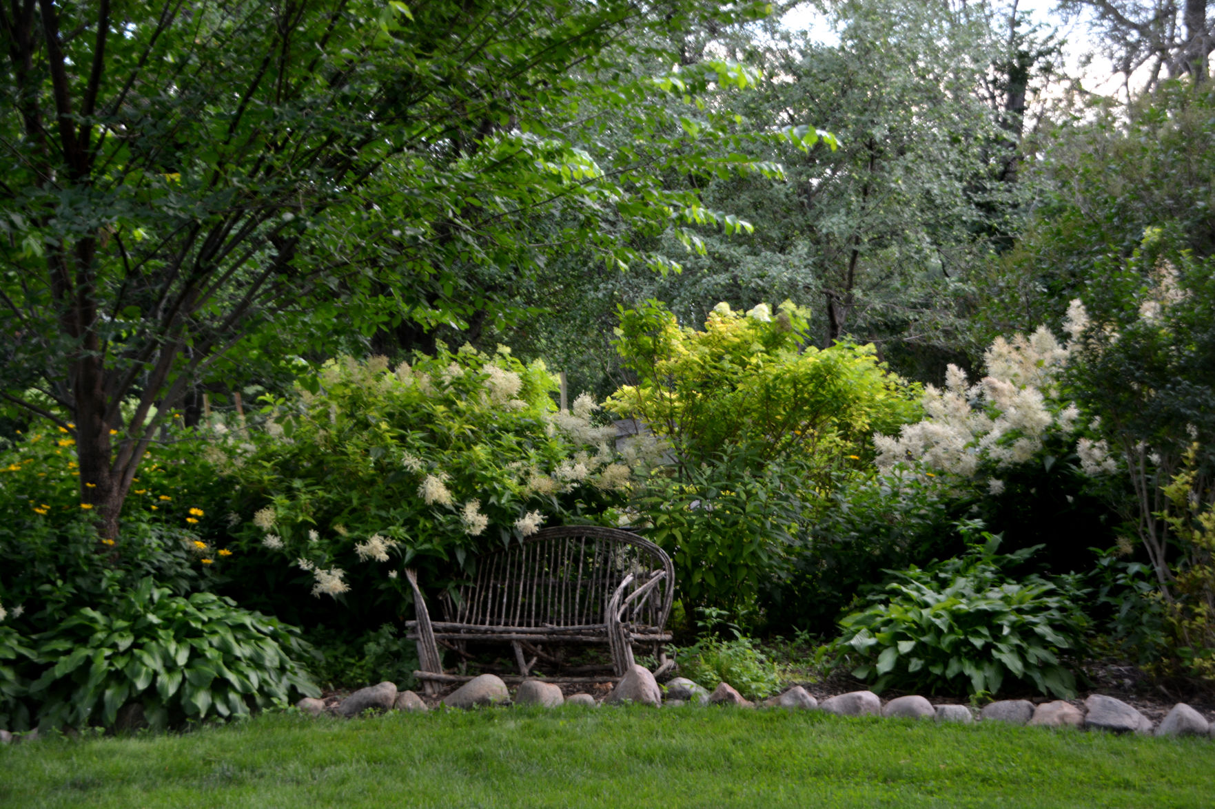 Serenity